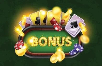 Người hâm mộ bóng đá Việt Nam cổ vũ đội tuyển trong giải V.League 1